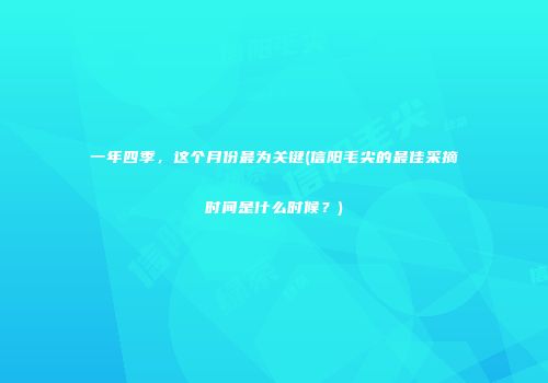 一年四季，这个月份最为关键(信阳毛尖的最佳采摘时间是什么时候？)