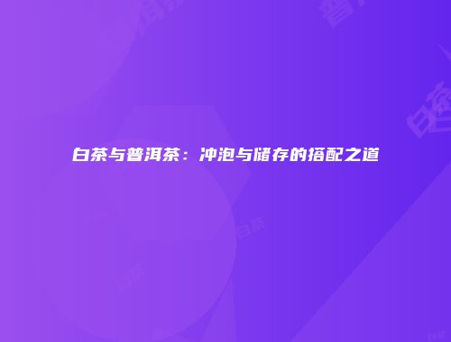 白茶与普洱茶：冲泡与储存的搭配之道