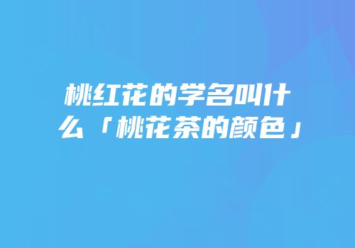 桃红花的学名叫什么「桃花茶的颜色」