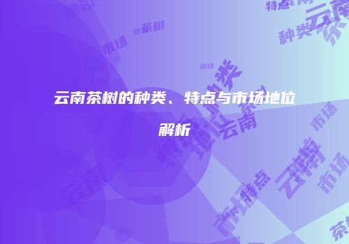 云南茶树的种类、特点与市场地位解析