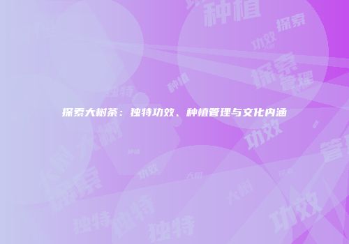 探索大树茶：独特功效、种植管理与文化内涵