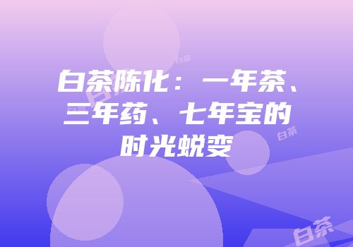 白茶陈化：一年茶、三年药、七年宝的时光蜕变