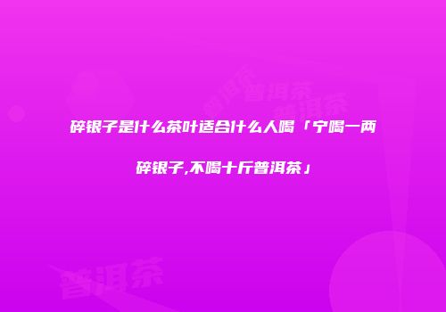 碎银子是什么茶叶适合什么人喝「宁喝一两碎银子,不喝十斤普洱茶」