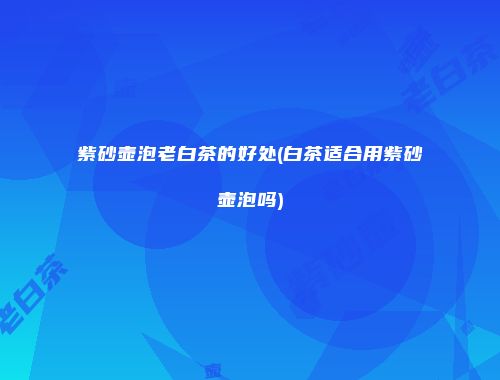 紫砂壶泡老白茶的好处(白茶适合用紫砂壶泡吗)