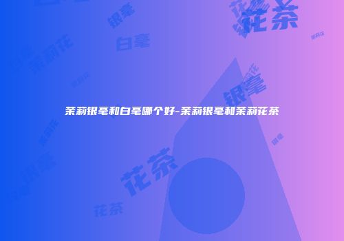 茉莉银毫和白毫哪个好-茉莉银毫和茉莉花茶