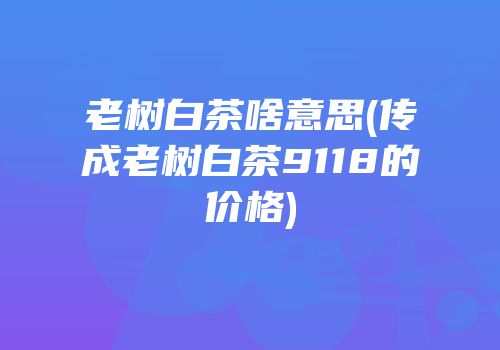 老树白茶啥意思(传成老树白茶9118的价格)