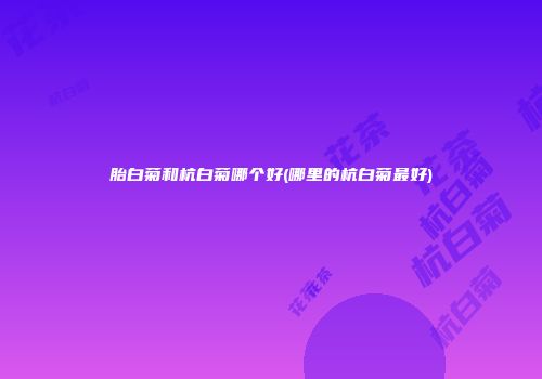 胎白菊和杭白菊哪个好(哪里的杭白菊最好)