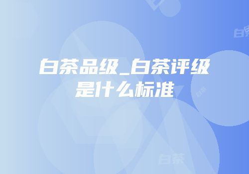 白茶品级_白茶评级是什么标准