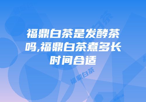 福鼎白茶是发酵茶吗,福鼎白茶煮多长时间合适
