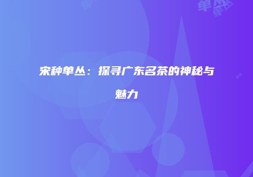 宋种单丛：探寻广东名茶的神秘与魅力