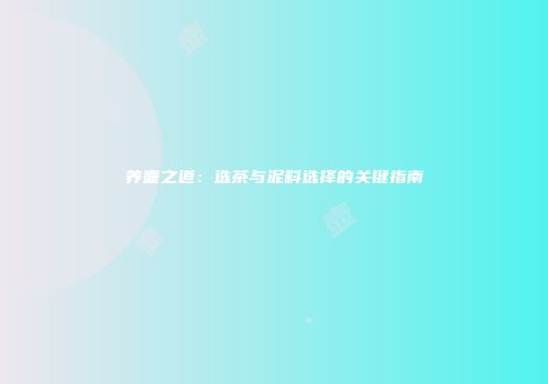 养壶之道：选茶与泥料选择的关键指南