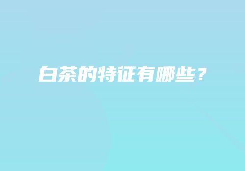 白茶的特征有哪些？