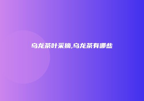 乌龙茶叶采摘,乌龙茶有哪些