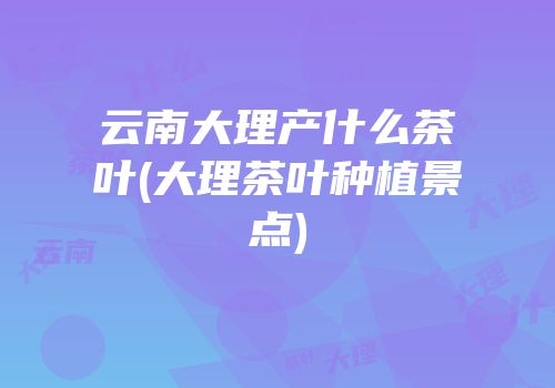 云南大理产什么茶叶(大理茶叶种植景点)