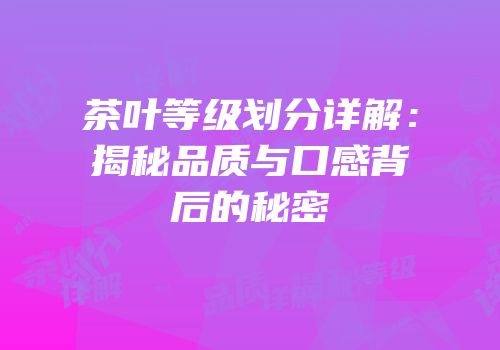 茶叶等级划分详解：揭秘品质与口感背后的秘密