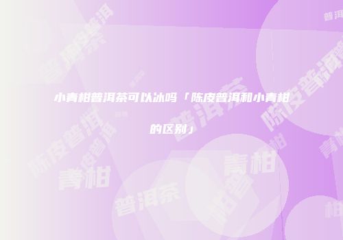 小青柑普洱茶可以冰吗「陈皮普洱和小青柑的区别」