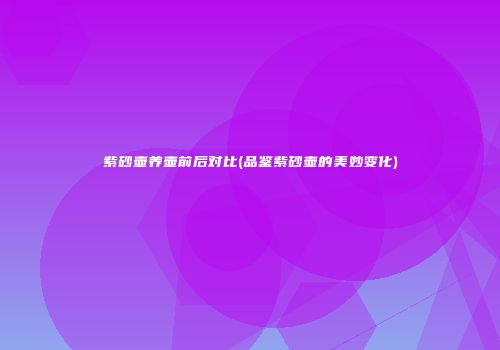 紫砂壶养壶前后对比(品鉴紫砂壶的美妙变化)