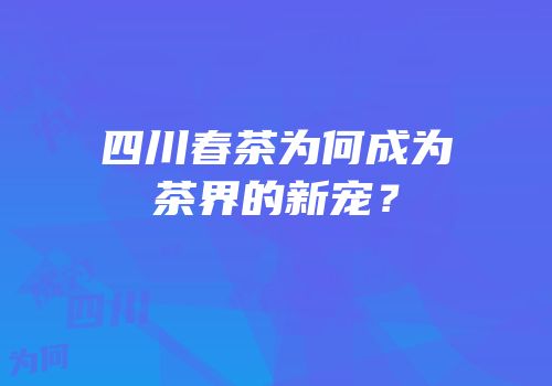 四川春茶为何成为茶界的新宠？