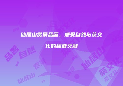 仙居山赏景品茗，感受自然与茶文化的和谐交融