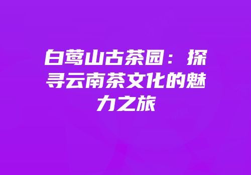 白莺山古茶园：探寻云南茶文化的魅力之旅