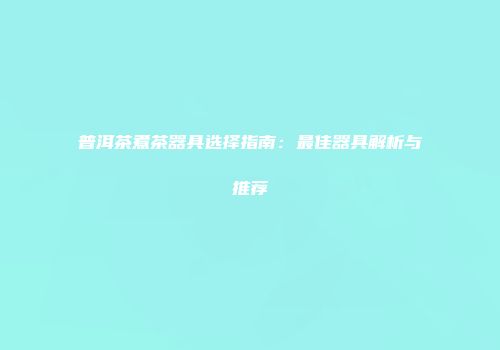 普洱茶煮茶器具选择指南：最佳器具解析与推荐