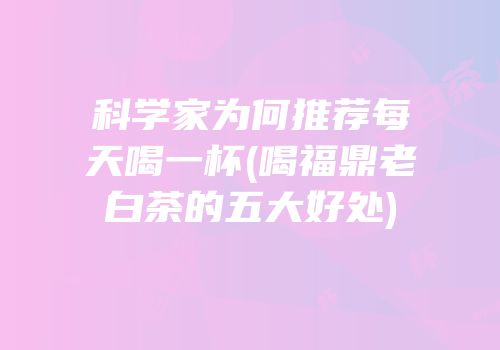 科学家为何推荐每天喝一杯(喝福鼎老白茶的五大好处)