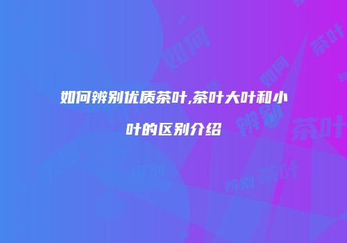 如何辨别优质茶叶,茶叶大叶和小叶的区别介绍