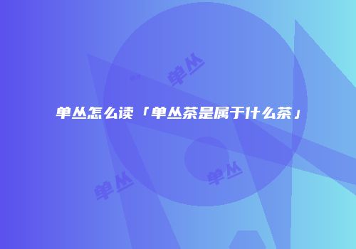 单丛怎么读「单丛茶是属于什么茶」