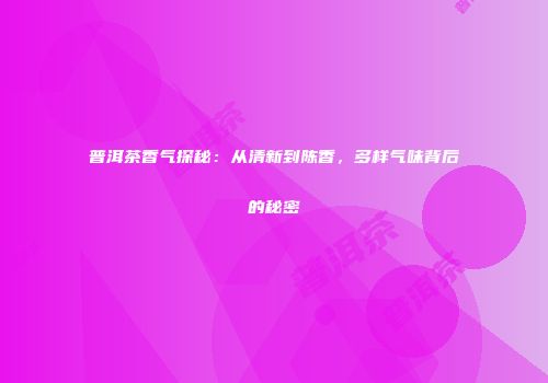 普洱茶香气探秘：从清新到陈香，多样气味背后的秘密