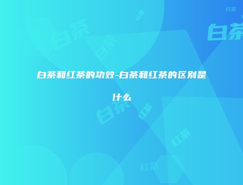 白茶和红茶的功效-白茶和红茶的区别是什么
