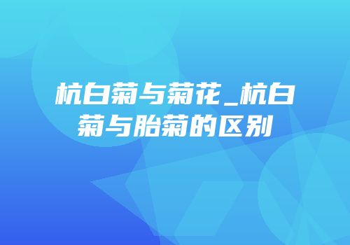 杭白菊与菊花_杭白菊与胎菊的区别