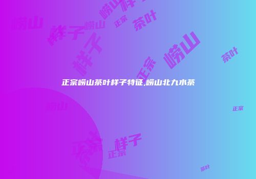 正宗崂山茶叶样子特征,崂山北九水茶