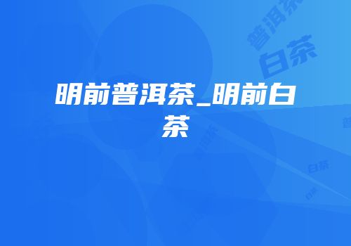 明前普洱茶_明前白茶