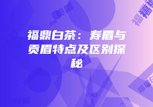福鼎白茶：寿眉与贡眉特点及区别探秘