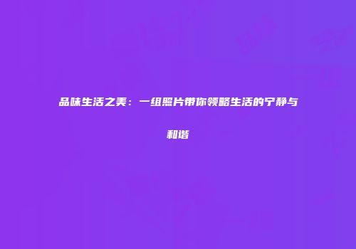 品味生活之美：一组照片带你领略生活的宁静与和谐
