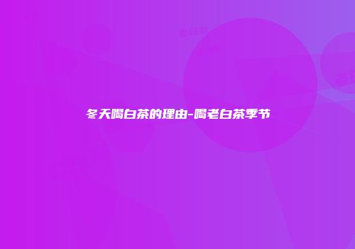 冬天喝白茶的理由-喝老白茶季节