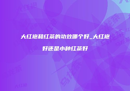 大红袍和红茶的功效哪个好_大红袍好还是小种红茶好
