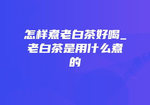 怎样煮老白茶好喝_老白茶是用什么煮的