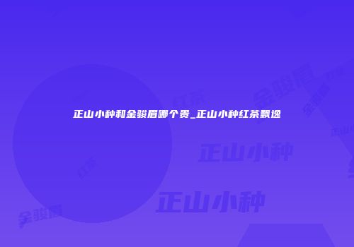 正山小种和金骏眉哪个贵_正山小种红茶飘逸