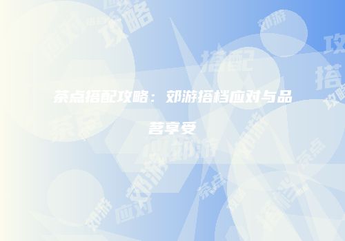 茶点搭配攻略：郊游搭档应对与品茗享受