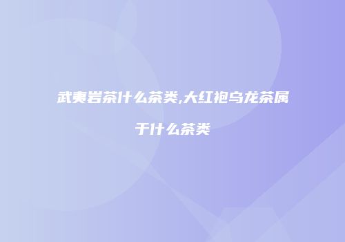 武夷岩茶什么茶类,大红袍乌龙茶属于什么茶类