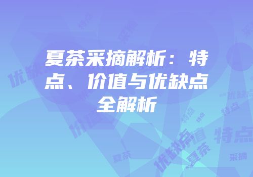 夏茶采摘解析：特点、价值与优缺点全解析