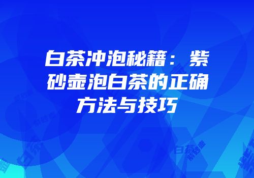 白茶冲泡秘籍：紫砂壶泡白茶的正确方法与技巧
