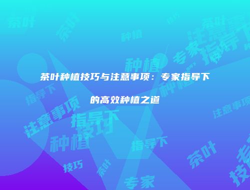 茶叶种植技巧与注意事项：专家指导下的高效种植之道