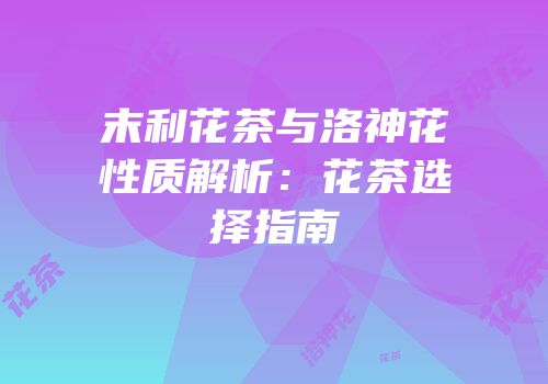 末利花茶与洛神花性质解析：花茶选择指南