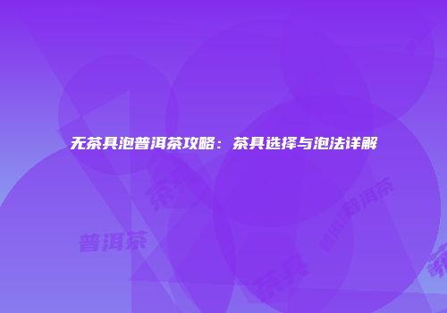 无茶具泡普洱茶攻略：茶具选择与泡法详解