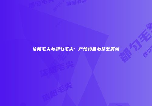 信阳毛尖与都匀毛尖：产地特色与茶艺解析