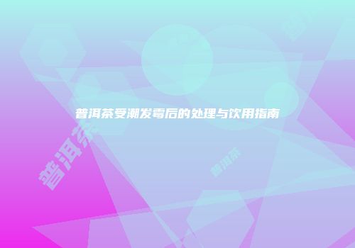 普洱茶受潮发霉后的处理与饮用指南