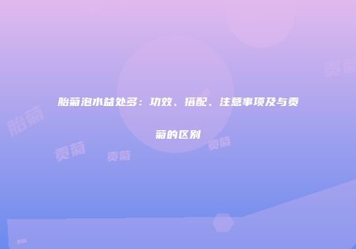 胎菊泡水益处多：功效、搭配、注意事项及与贡菊的区别