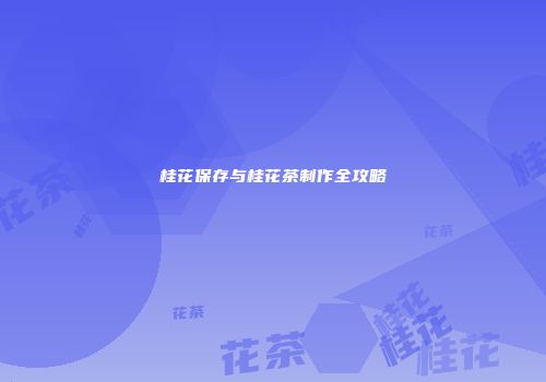 桂花保存与桂花茶制作全攻略